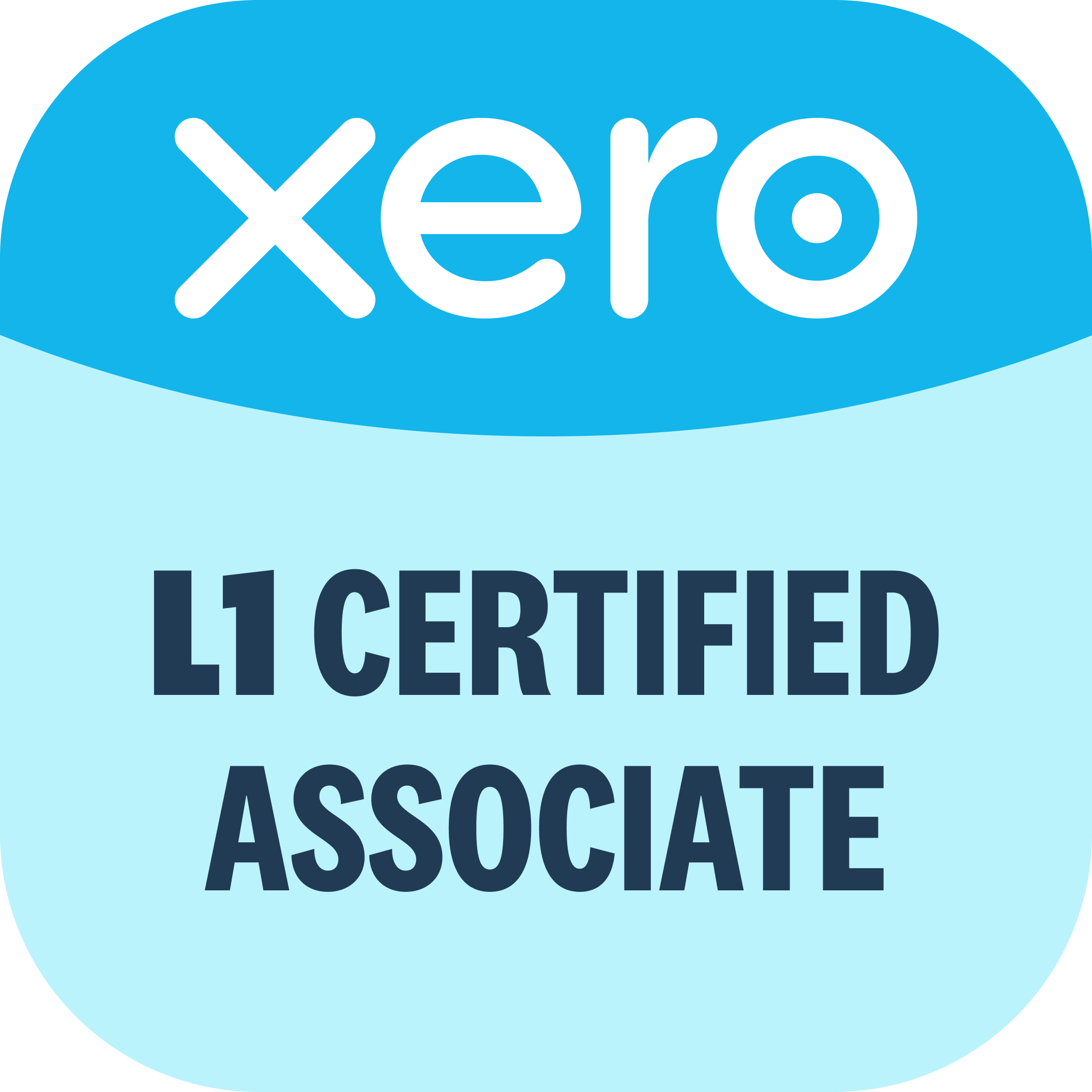 Xero Certified Associate